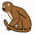 monkey