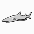shark