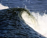 wave