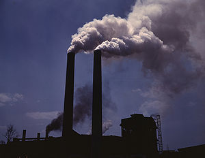 Pollution and The Environment