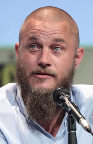 The Vikings Series
