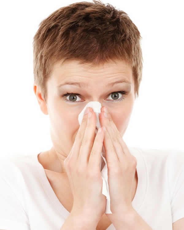 Reading Comprehension About The Common Cold