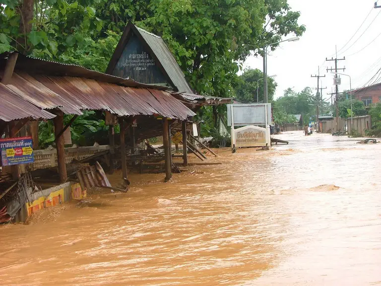 Flood flood