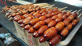 Chinese food: culture shock