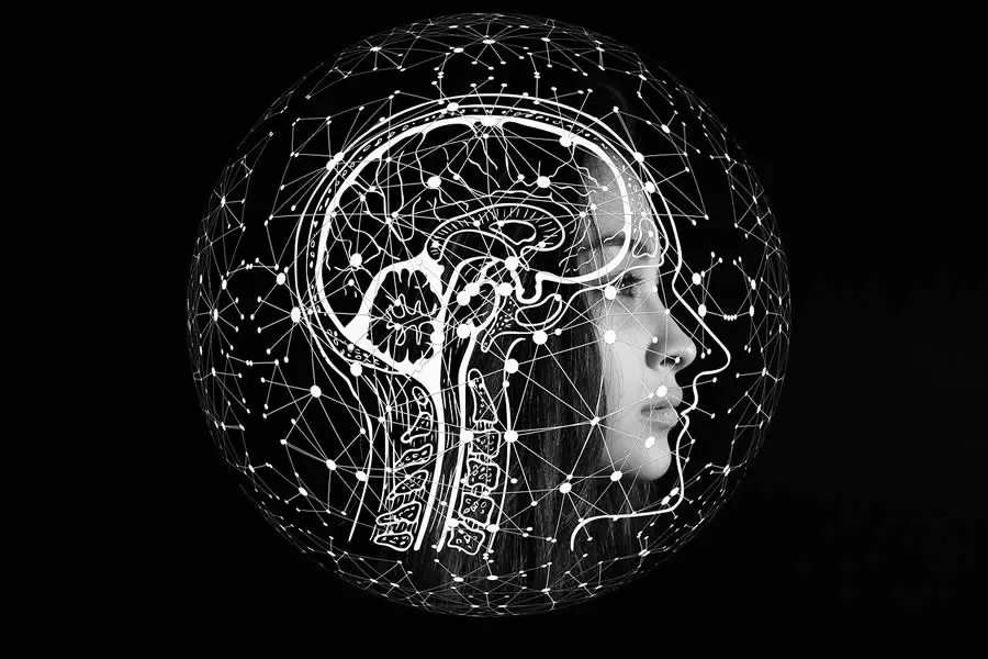 What is intelligence?