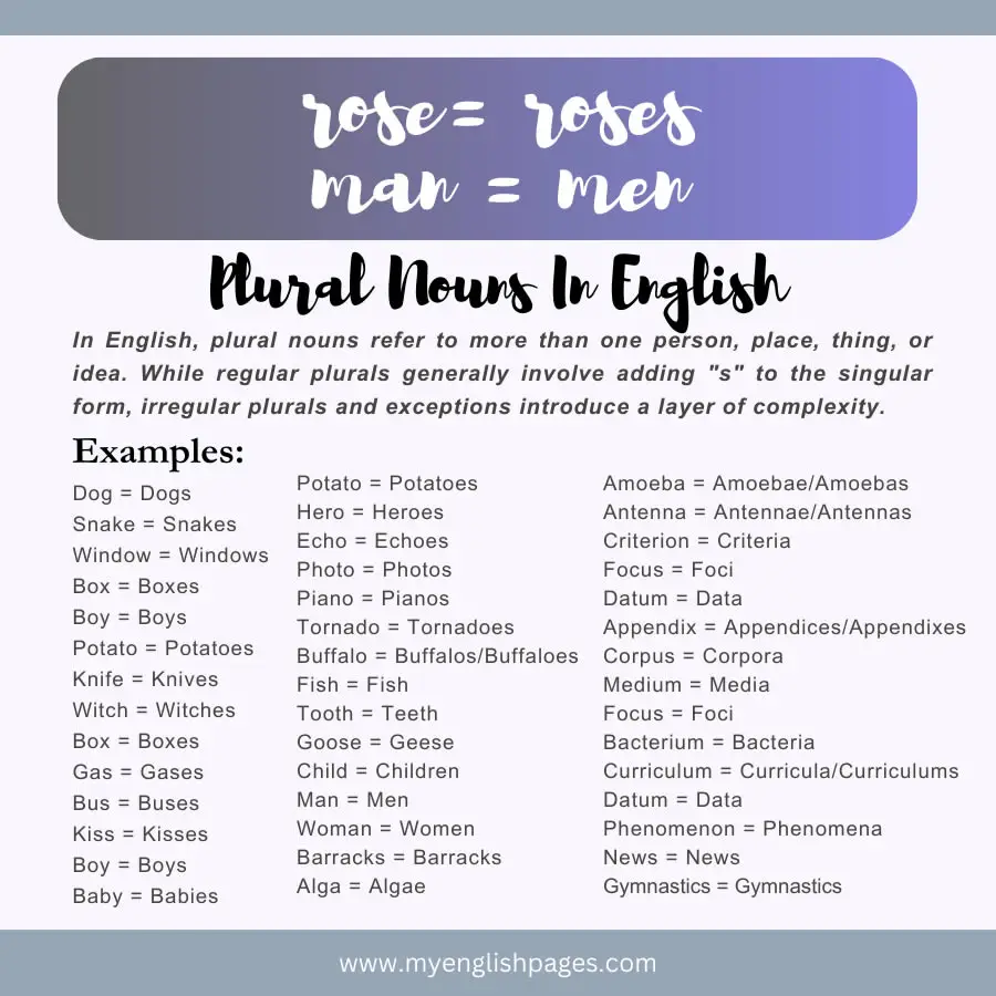 Plural Nouns In English Illustration