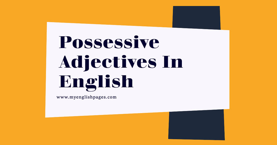 Possessive Adjectives In English