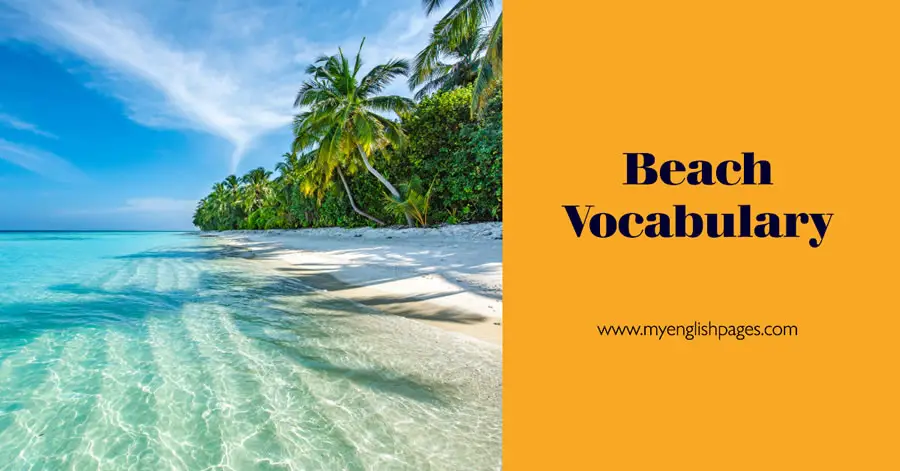 100 English Beach Vocabulary