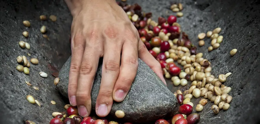 Reading Comprehension About The History Of Coffee