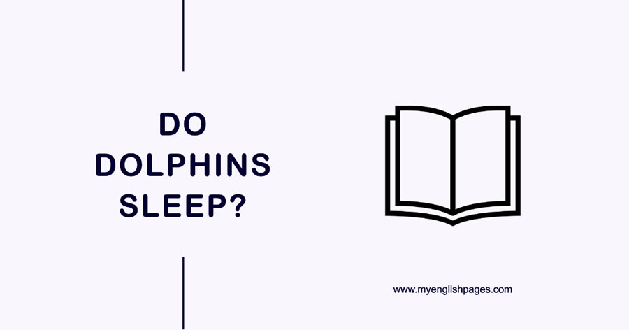 Do Dolphins Sleep? (Reading Comprehension)