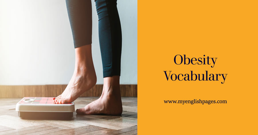 Obesity Vocabulary