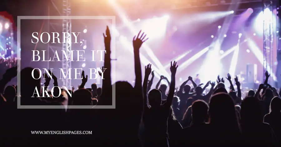 Sorry, Blame it On Me by Akon