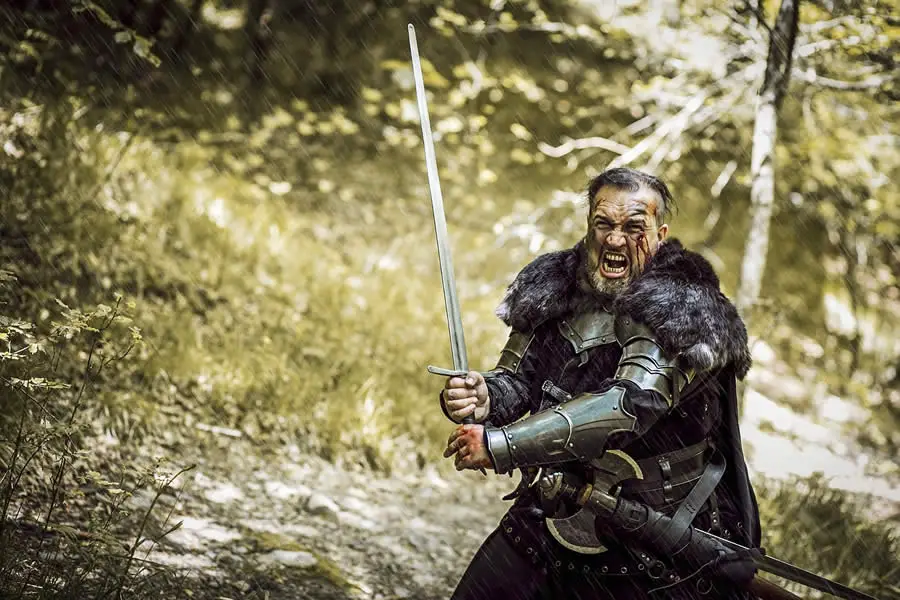 Vikings Series (Reading Comprehension)