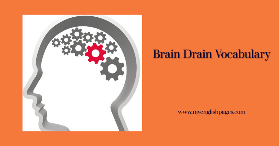 List of Brain Drain Vocabulary