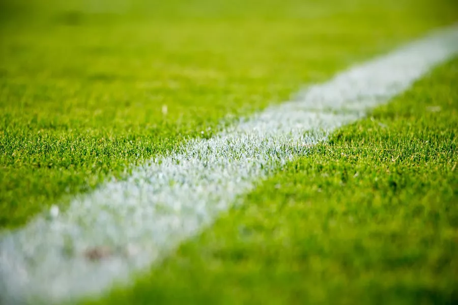 The 2010 FIFA World Cup (Reading Comprehension)