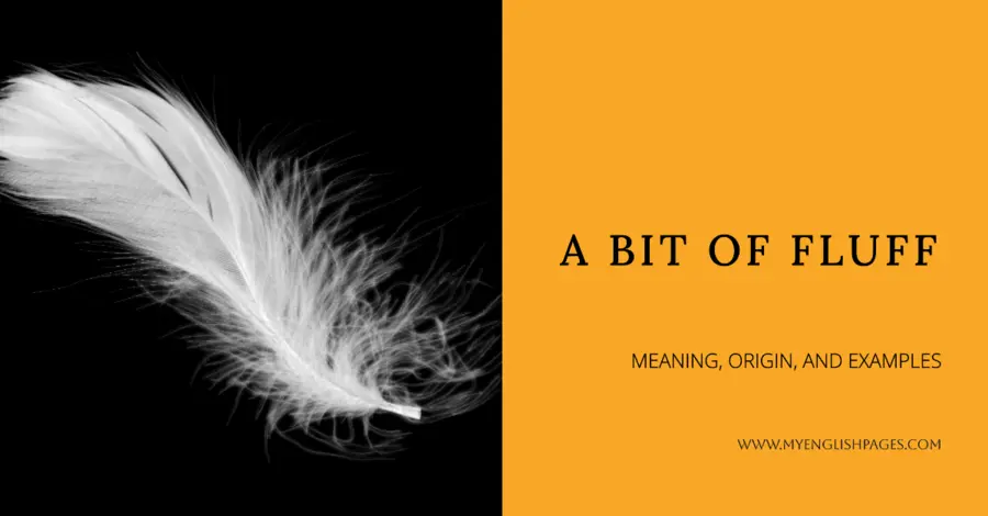 A Bit of Fluff Idiom: Meaning, Origin, and Examples