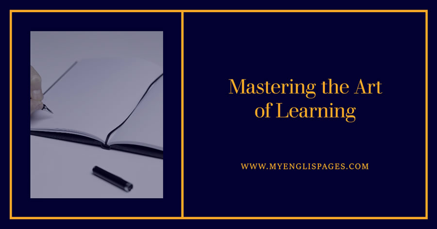 Mastering the art of learning to learn